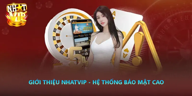 Hệ thống Nhatvip hỗ trợ 24/7