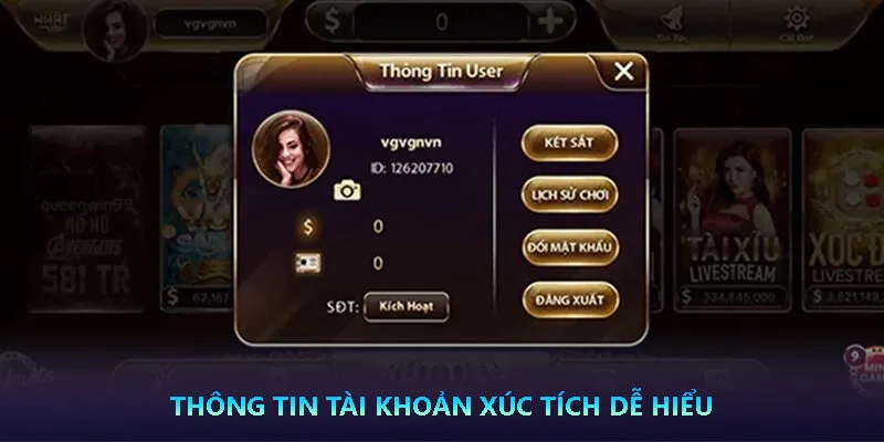 Thông tin tài khoản xúc tích dễ hiểu